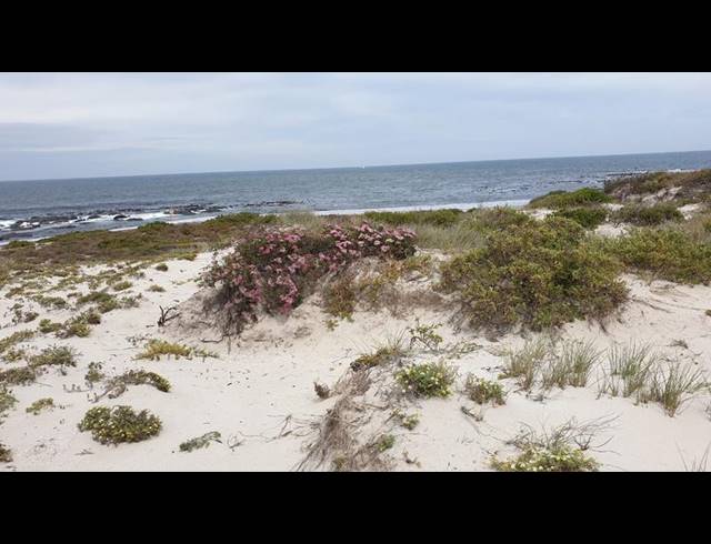 LAND FOR SALE IN SHELLY POINT